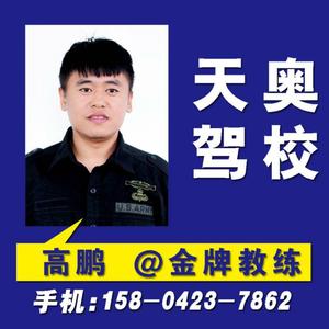 24高鹏.jpg